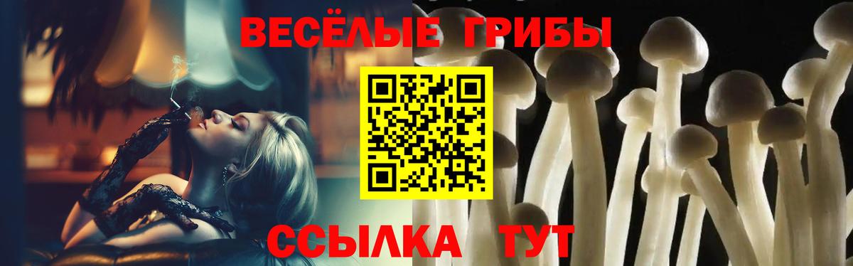 Галлюциногенные грибы MAGIC MUSHROOMS  Вход с VPN  Ростов Великий 